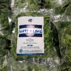 Fresh Waterleaf
